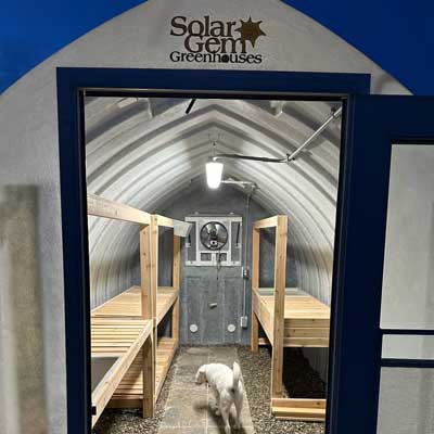 Interior view of a small arched greenhouse with wooden shelving, an Overhead Light / Switch, and a small dog standing in the doorway.