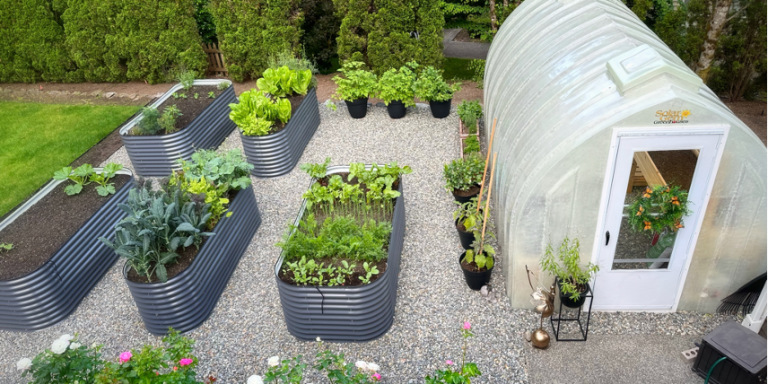 GreenHouses outdoor Growing